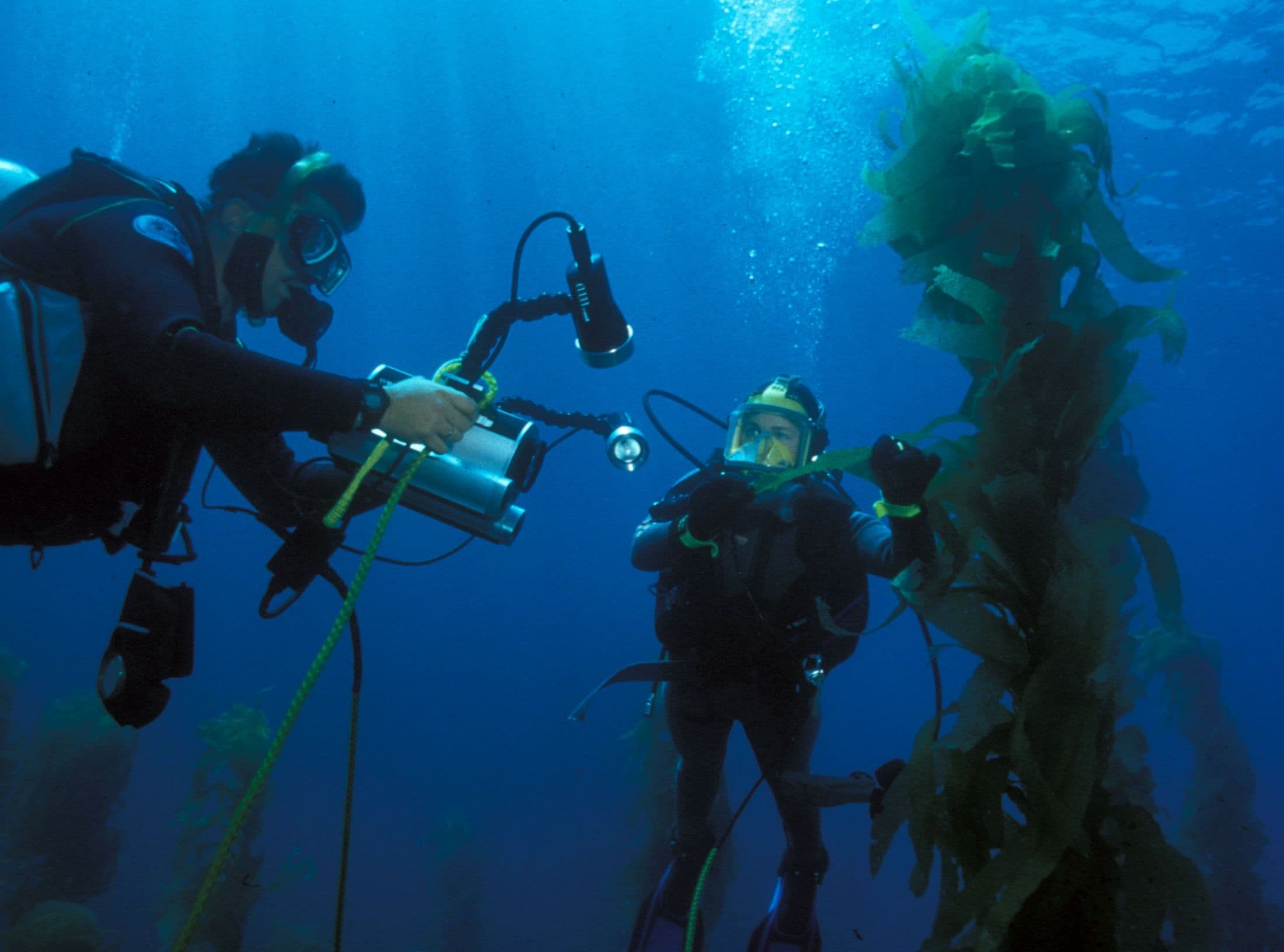 scuba divers with equipment