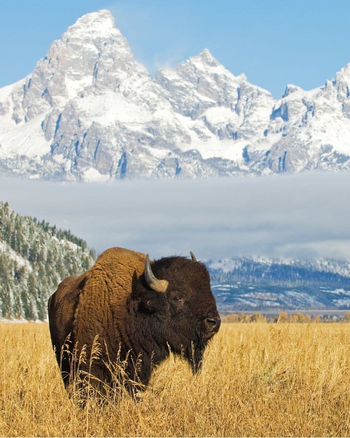 Grand Teton National Park