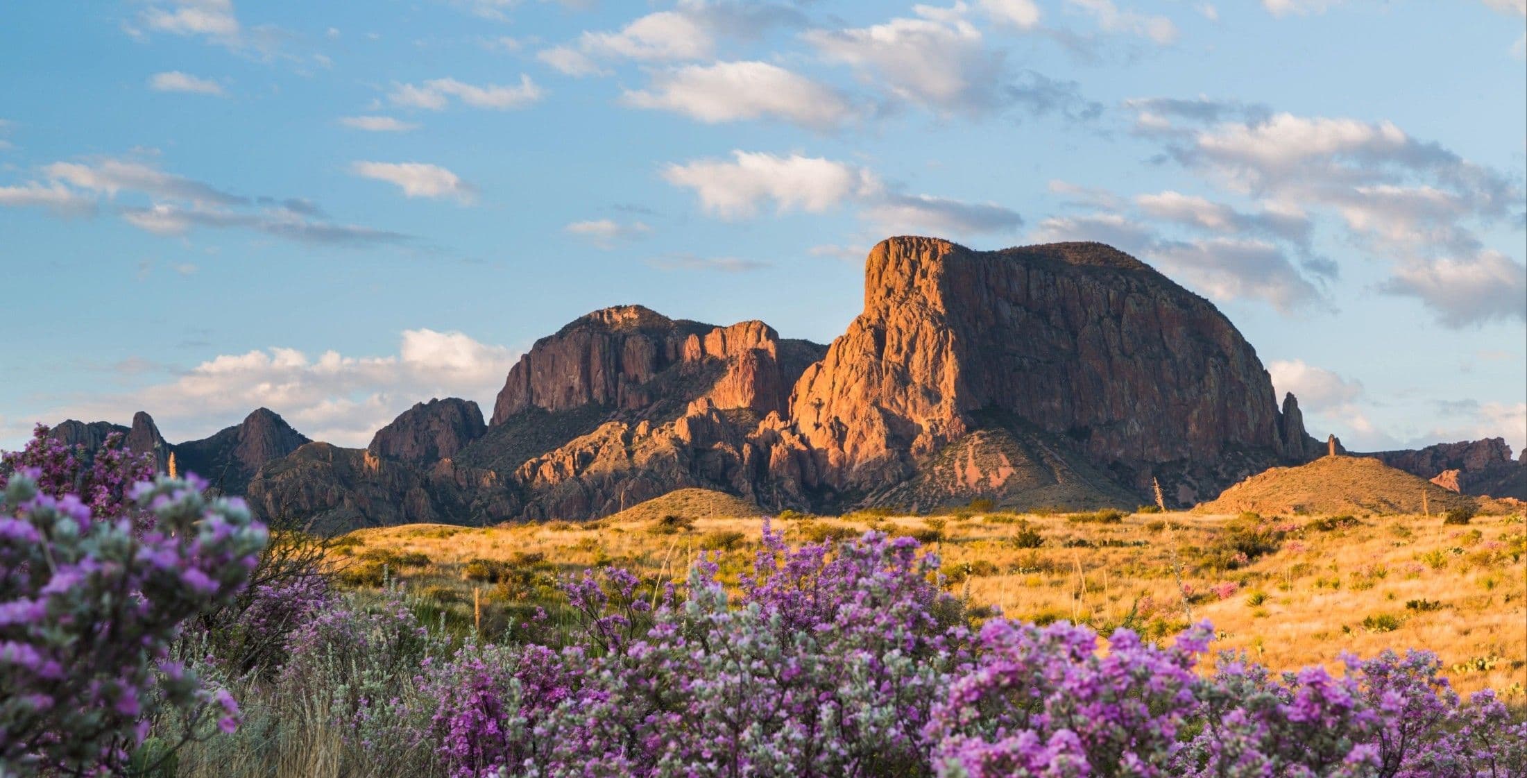 Large rock formations with purple flowers in the foreground