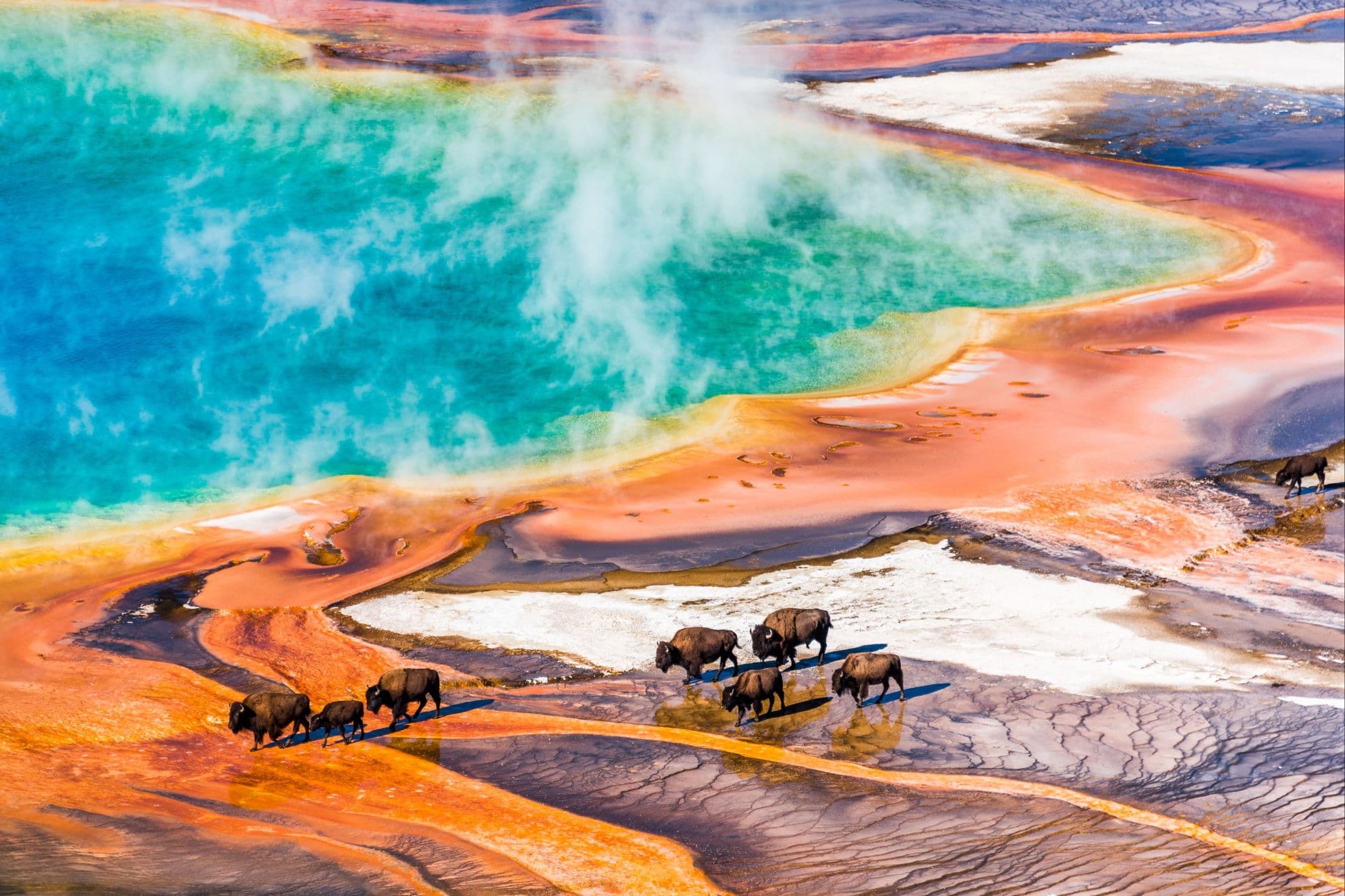 Yellowstone National Park