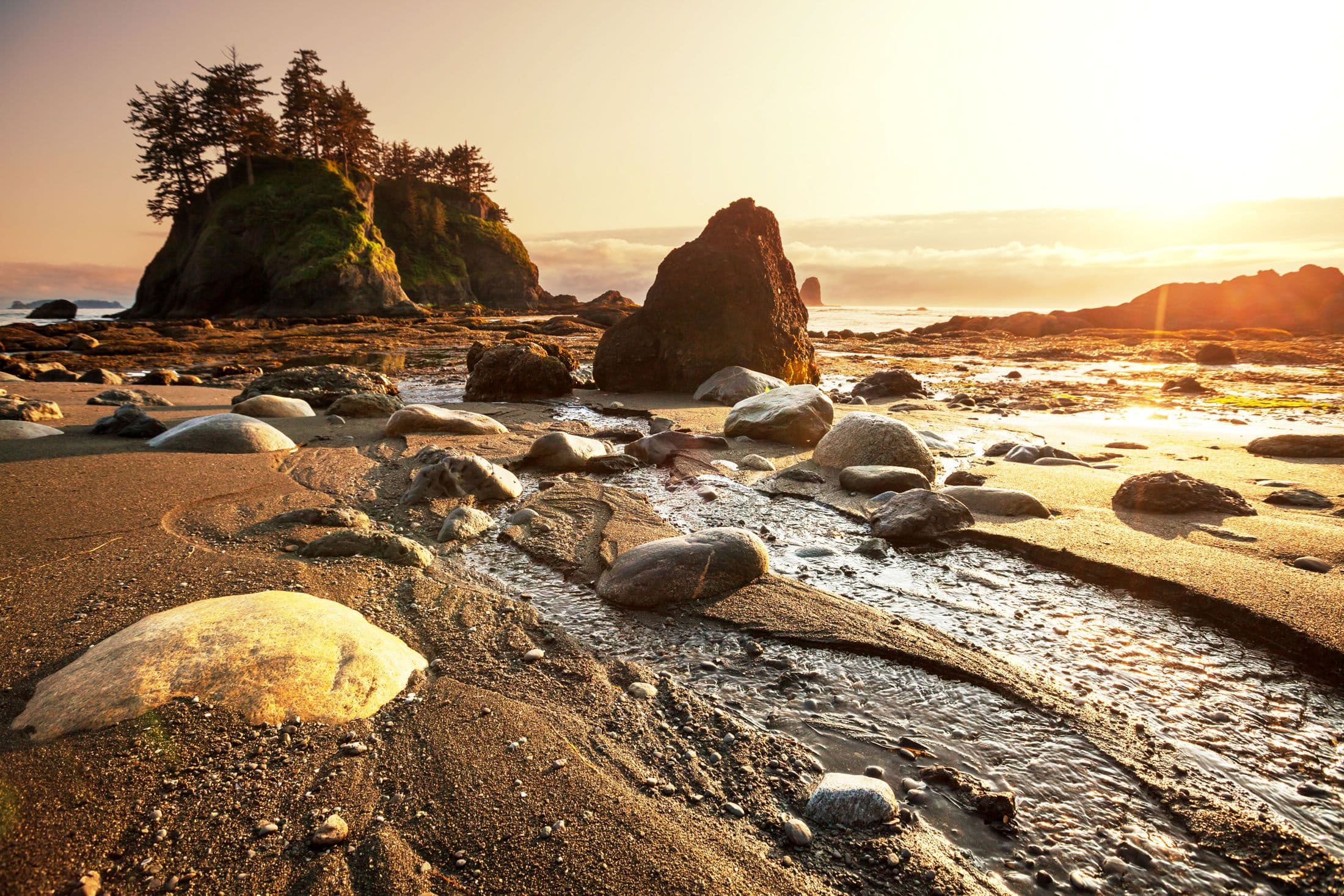 Olympic National Park
