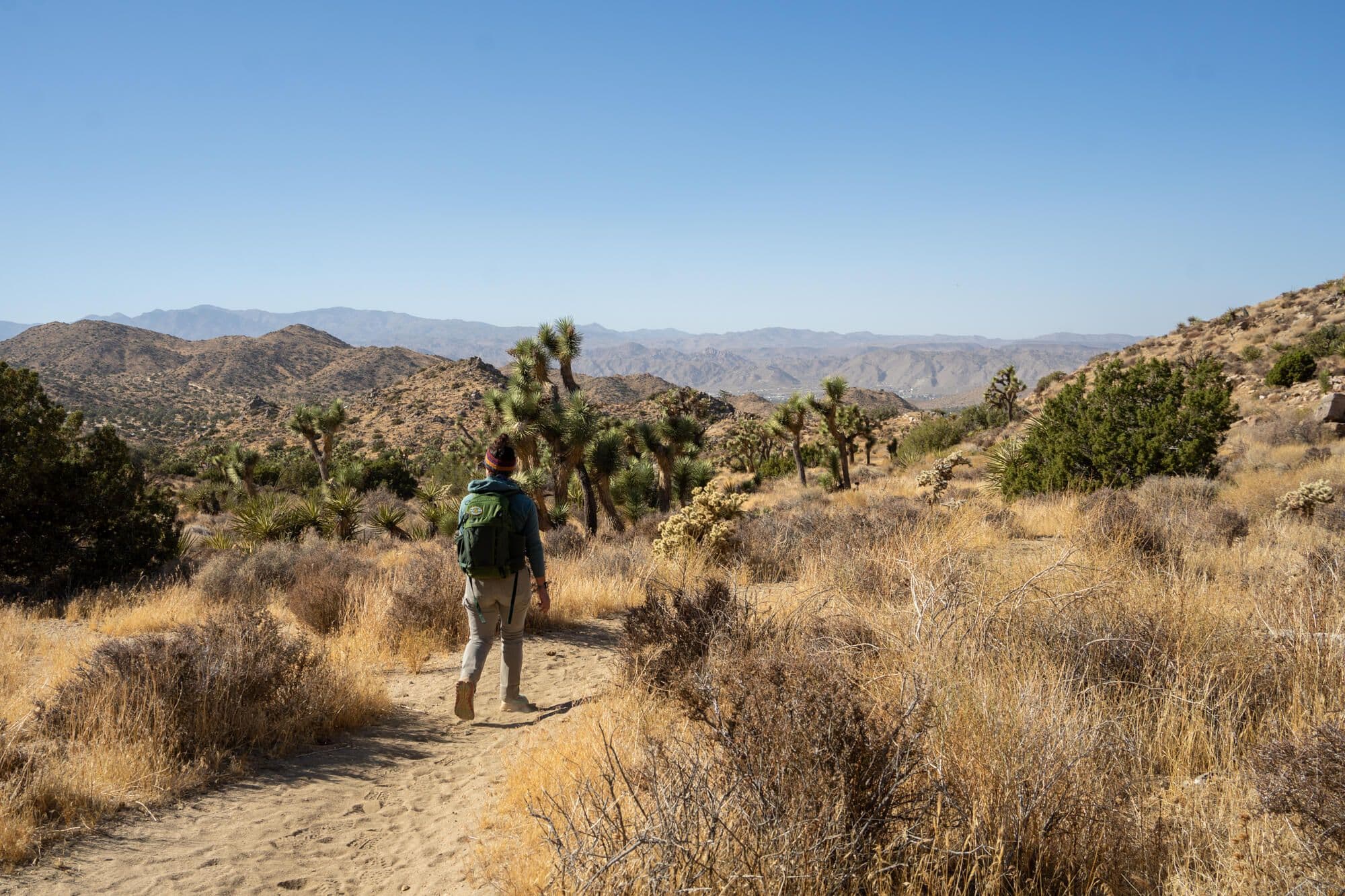 Hiking in Joshua Tree National Park