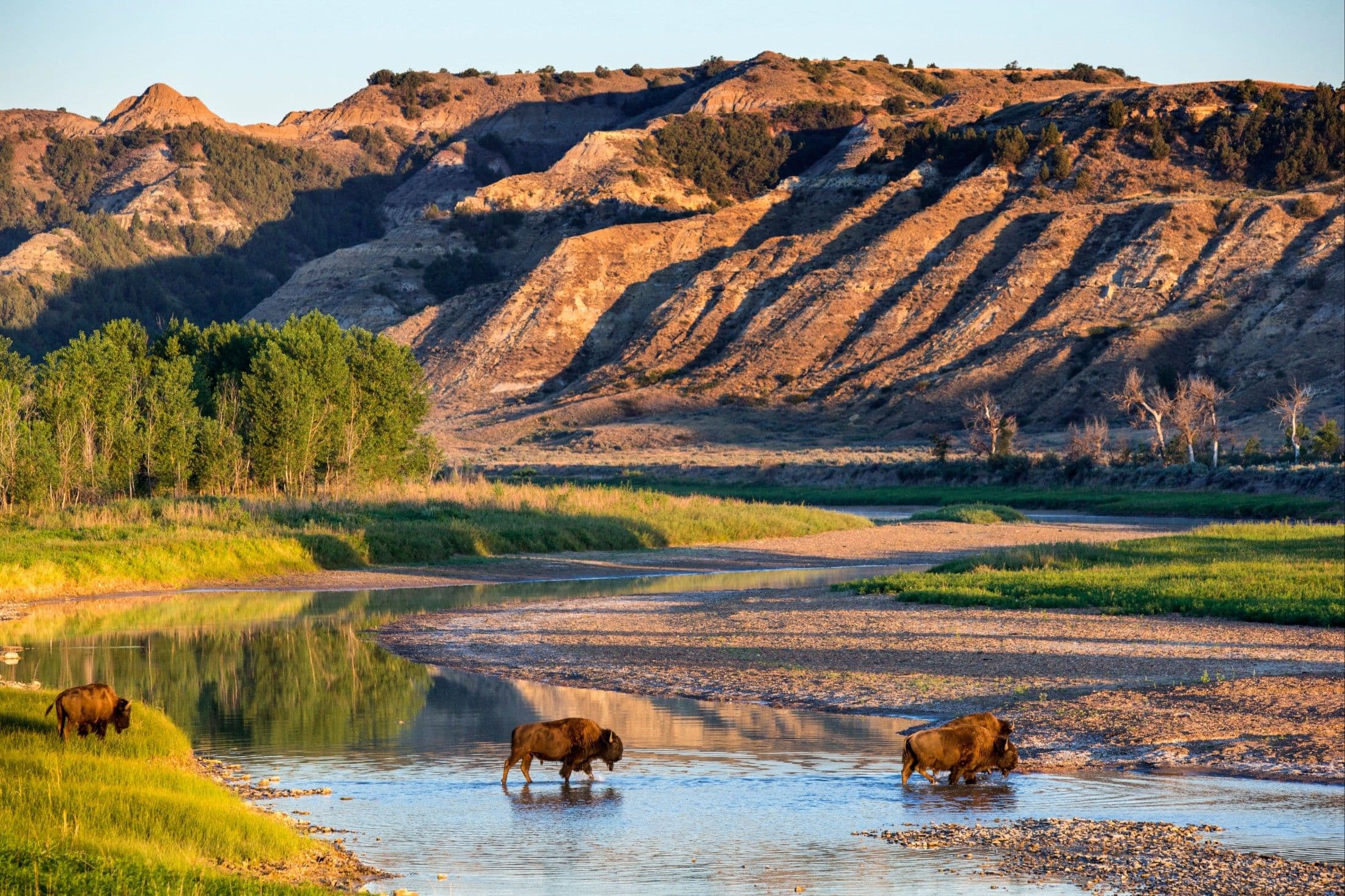 Theodore Roosevelt National Park