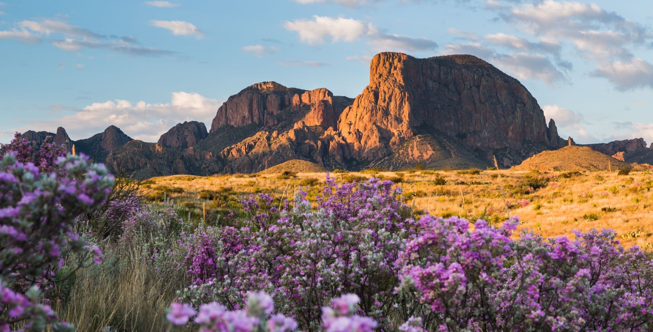 Large rock formations with purple flowers in the foreground
